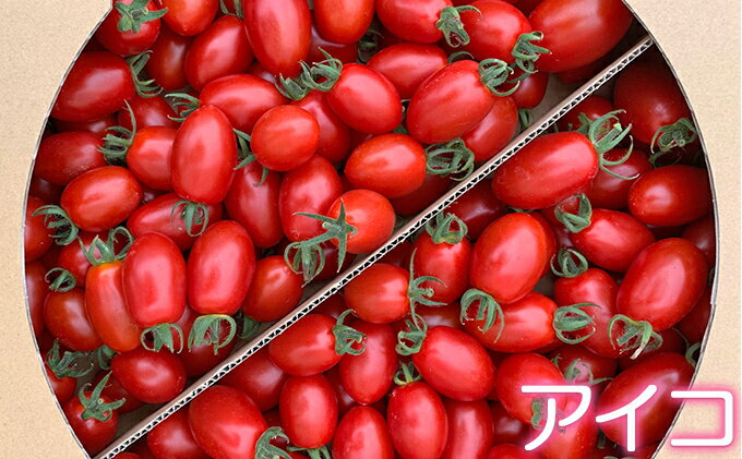 【ふるさと納税】[先行受付] 北海道 仁木町産 ミニトマト 3kg サイズ混合 アイコ または キャロルスター野菜 トマト [今野農園]　お届け：2026年8月10日～9月20まで - 画像3