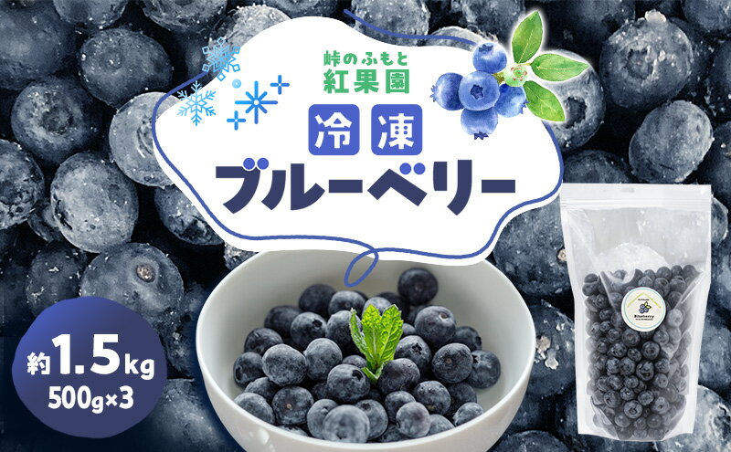 【ふるさと納税】峠のふもと紅果園の冷凍ブルーベリー約1.5kg（500g×3）サイズ混載 果物 くだもの 加工食品 フルーツ ブルーベリー [峠のふもと紅果園] サムネイル2