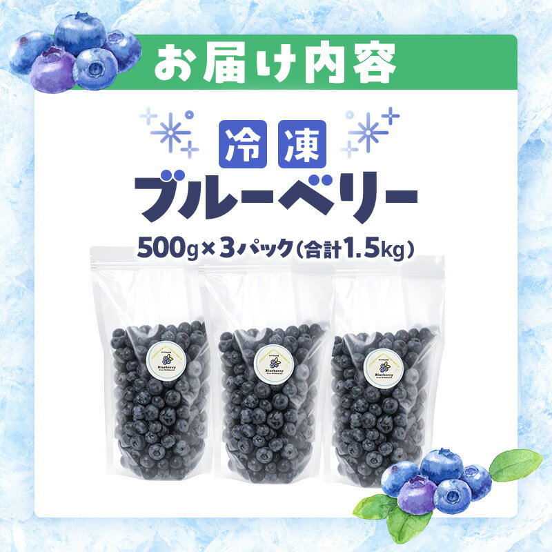 【ふるさと納税】峠のふもと紅果園の冷凍ブルーベリー約1.5kg（500g×3）サイズ混載 果物 くだもの 加工食品 フルーツ ブルーベリー [峠のふもと紅果園] サムネイル3