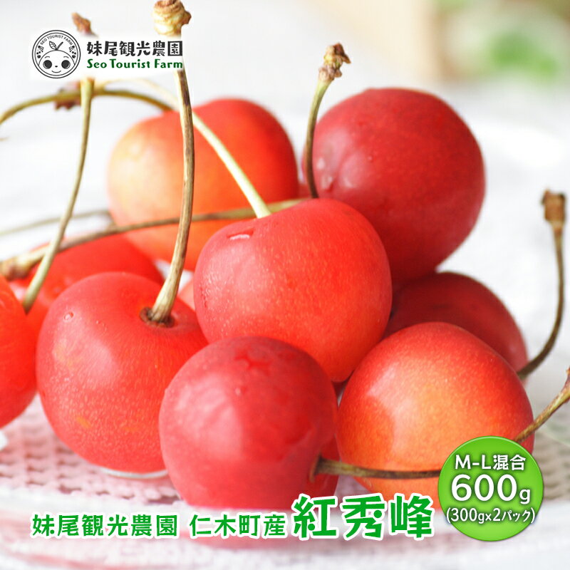 [先行受付] 北海道 仁木町産 さくらんぼ 「紅秀峰」 M-L混合 600g (300g×2パック)　国産 旬のフルーツ 旬の果物 デザートサクランボ チェリー フルーツ 果物 果物類 仁木 [フルーツショップ妹尾観光農園] 　お届け：2026年7月15日～7月25日まで