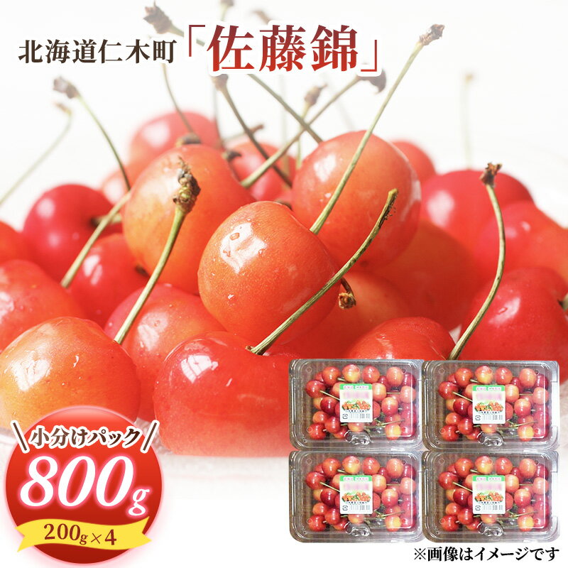 先行受付 さくらんぼ 佐藤錦 800g（200g×4）M-Lサイズ混合 サクランボ チェリー フルーツ 果物 果物類 北海道 仁木町 仁木 [大塚農園]　お届け：2026年7月1日～15日頃