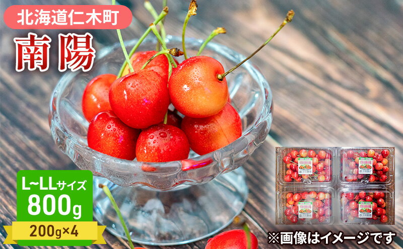 【ふるさと納税】先行受付 さくらんぼ 南陽 800g（200g×4）L-LLサイズ混合 サクランボ チェリー フルーツ 果物 果物類 北海道 仁木町 仁木 [大塚農園]　お届け：2026年7月10日～25日頃 サムネイル2