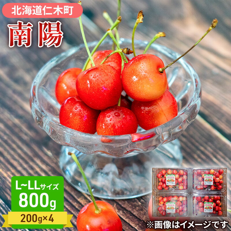 先行受付 さくらんぼ 南陽 800g（200g×4）L-LLサイズ混合 サクランボ チェリー フルーツ 果物 果物類 北海道 仁木町 仁木 [大塚農園]　お届け：2026年7月10日～25日頃