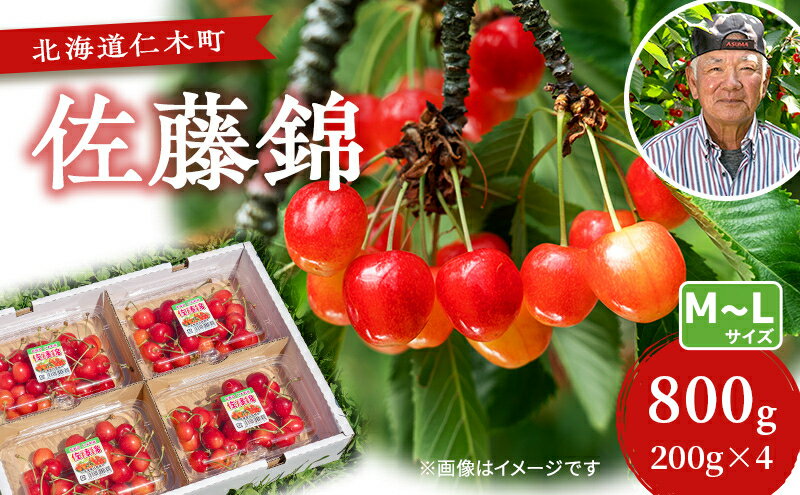 【ふるさと納税】先行受付 さくらんぼ【 佐藤錦 】800g（200g×4）M-Lサイズ混合 サクランボ チェリー フルーツ 果物 果物類 ギフト 北海道 仁木町 仁木 [横山農園]　お届け：2026年7月1日～15日頃 - 画像2