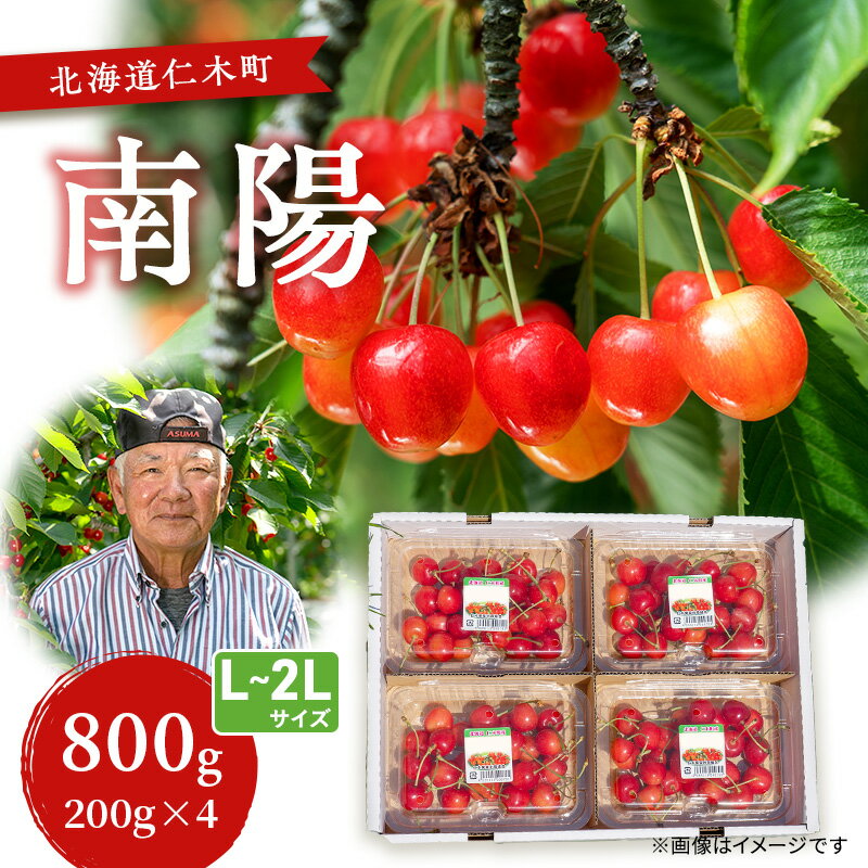 先行受付 さくらんぼ【 南陽 】800g（200g×4）L-LLサイズ混合 サクランボ チェリー フルーツ 果物 果物類 ギフト 北海道 仁木町 仁木 [横山農園]　お届け：2026年7月10日～25日頃
