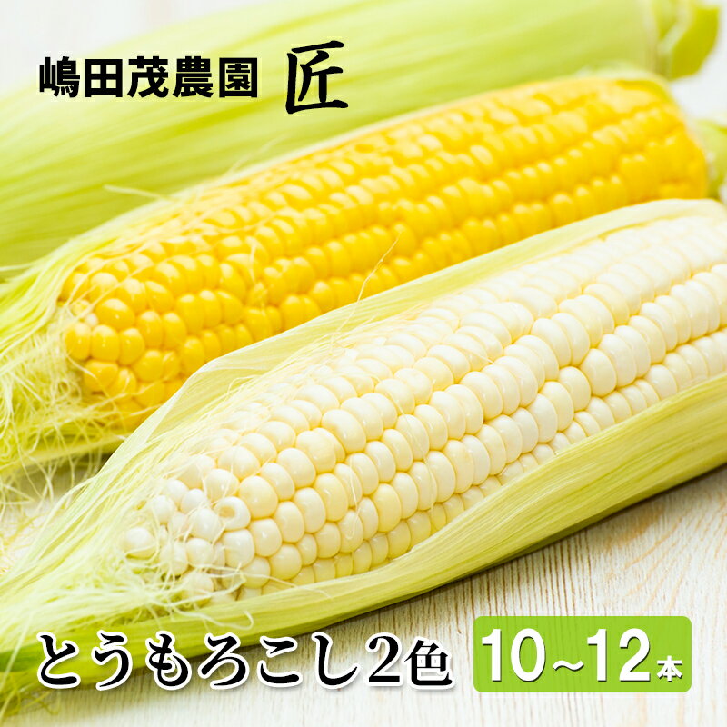 [先行受付] 北海道 仁木町産 新鮮 とうもろこし 2色セット【10～12本】 野菜 トウモロコシ コーン [株式会社 嶋田茂農園匠]　お届け：2026年8月10日頃～9月下旬