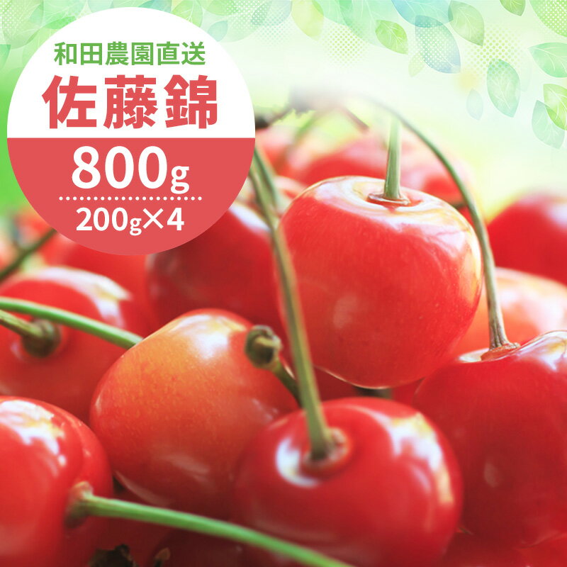 [先行受付] 北海道 仁木町産 さくらんぼ 佐藤錦 800g（400g×2パック） サクランボ チェリー フルーツ 果物 果物類 仁木町 仁木 [和田農園]　お届け：2026年7月1日～7月18日頃まで