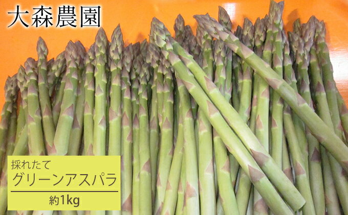 【ふるさと納税】[先行受付] 北海道 仁木町産 グリーンアスパラ 1kg アスパラガス アスパラ 野菜 やさい [大森農園]　お届け：2026年5月1日～5月26日頃 - 画像2