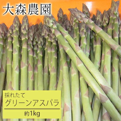 [先行受付] 北海道 仁木町産 グリーンアスパラ 1kg アスパラガス アスパラ 野菜 やさい [大森農園]　お届け：2026年5月1日～5月26日頃
