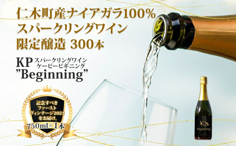 【ふるさと納税】【北海道産ワイン】 限定スパークリングワイン KP”Beginning" 750ml×1本 仁木町産ナイアガラ100%使用 ワイン 白 辛口 スパークリング お酒 シャンパン サムネイル2