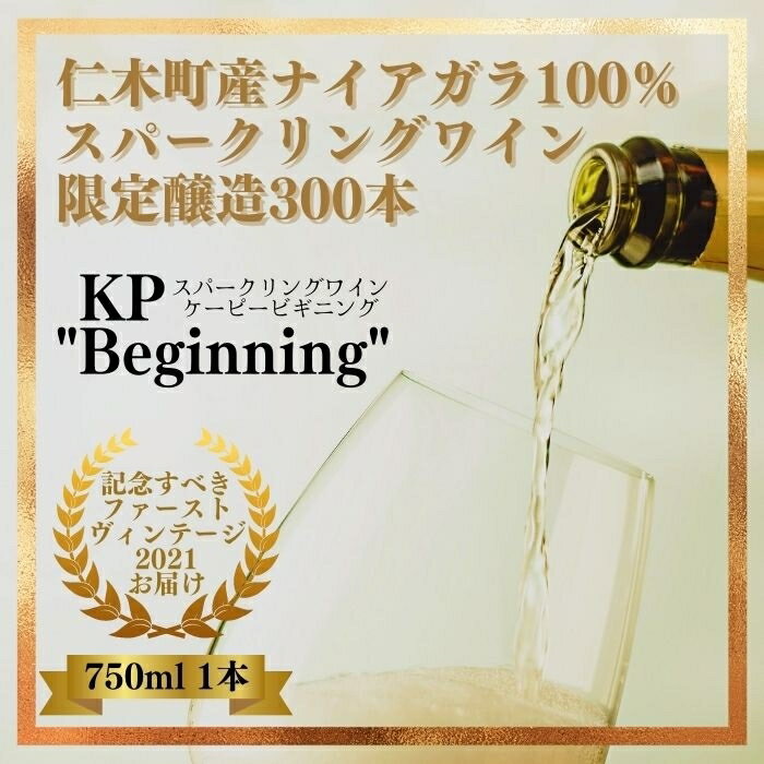 【北海道産ワイン】 限定スパークリングワイン KP”Beginning" 750ml×1本 仁木町産ナイアガラ100%使用 ワイン 白 辛口 スパークリング お酒 シャンパン