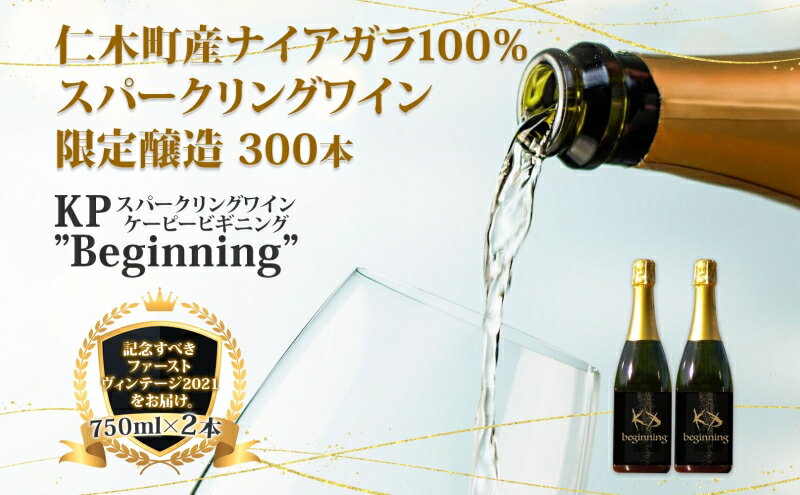 【ふるさと納税】【北海道産ワイン】 限定スパークリングワイン KP”Beginning" 750ml×2本 仁木町産ナイアガラ100%使用 ワイン 白 辛口 スパークリング お酒 シャンパン サムネイル2