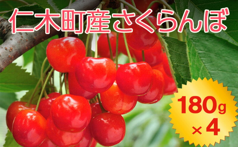 【ふるさと納税】北海道 仁木町産 さくらんぼ 720g（180g×4パック） 2Lサイズ以上 「佐藤錦」もしくは「紅秀峰」 旬の果物 産地直送 サクランボ チェリー フルーツ 果物 果物類 北海道産 仁木町 仁木 [JA新おたる]　お届け：2026年7月1日～26日まで サムネイル2