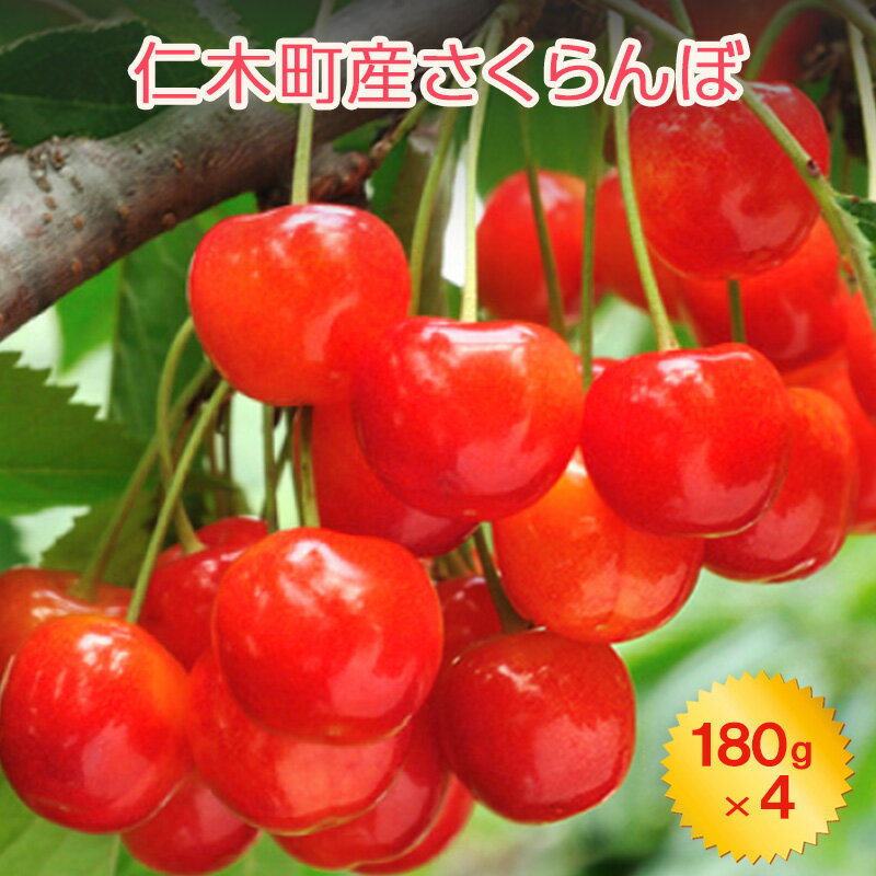 北海道 仁木町産 さくらんぼ 720g（180g×4パック） 2Lサイズ以上 「佐藤錦」もしくは「紅秀峰」 旬の果物 産地直送 サクランボ チェリー フルーツ 果物 果物類 北海道産 仁木町 仁木 [JA新おたる]　お届け：2026年7月1日～26日まで