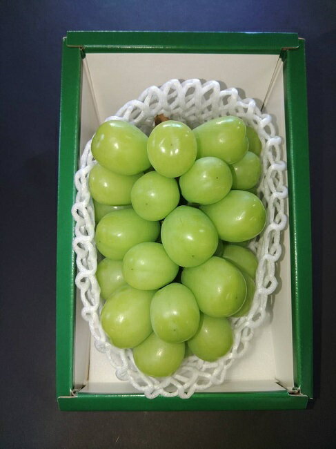 【ふるさと納税】[先行受付] 北海道 仁木産 シャインマスカット 600g前後 果物 ぶどう フルーツ おやつ デザート 食後 有機肥料 農薬低減 国産 直送 産地直送 食べ物 食品 北海道産 [株式会社　小野農園]　お届け：2025年10月～11月末 サムネイル3