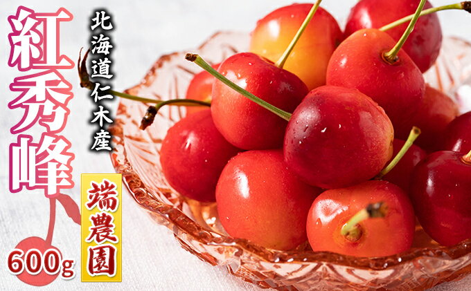 【ふるさと納税】先行受付 北海道 仁木町産 さくらんぼ 南陽 600g（300g×2パック） 北海道知事賞受賞農園 デザート スイーツ 最優秀賞 おすすめ 美味しい サクランボ チェリー フルーツ 果物 果物類 仁木町 仁木 [端農園]　お届け：2026年7月15日～25日頃 サムネイル2