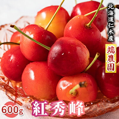 先行受付 北海道 仁木町産 さくらんぼ 南陽 600g（300g×2パック） 北海道知事賞受賞農園 デザート スイーツ 最優秀賞 おすすめ 美味しい サクランボ チェリー フルーツ 果物 果物類 仁木町 仁木 [端農園]　お届け：2026年7月15日～25日頃