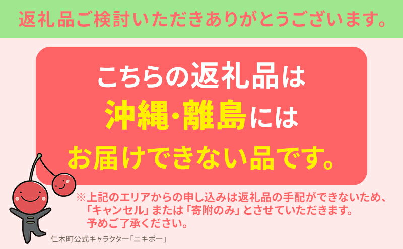 【ふるさと納税】先行受付 北海道 仁木町産 さくらんぼ 南陽 600g（300g×2パック） 北海道知事賞受賞農園 デザート スイーツ 最優秀賞 おすすめ 美味しい サクランボ チェリー フルーツ 果物 果物類 仁木町 仁木 [端農園]　お届け：2026年7月15日～25日頃 サムネイル3