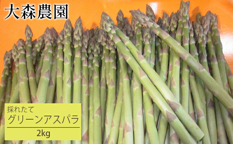 【ふるさと納税】[先行受付] 北海道 仁木町産 グリーンアスパラ 2kg アスパラ 野菜 新鮮 食材 春野菜 旬の野菜 北海道産 北海道野菜 国産 日本産 [大森農園]　お届け：2026年5月1日～5月26日頃 - 画像2