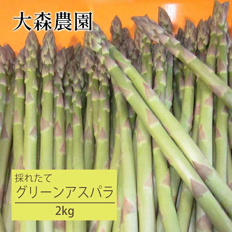 [先行受付] 北海道 仁木町産 グリーンアスパラ 2kg アスパラ 野菜 新鮮 食材 春野菜 旬の野菜 北海道産 北海道野菜 国産 日本産 [大森農園]　お届け：2026年5月1日～5月26日頃