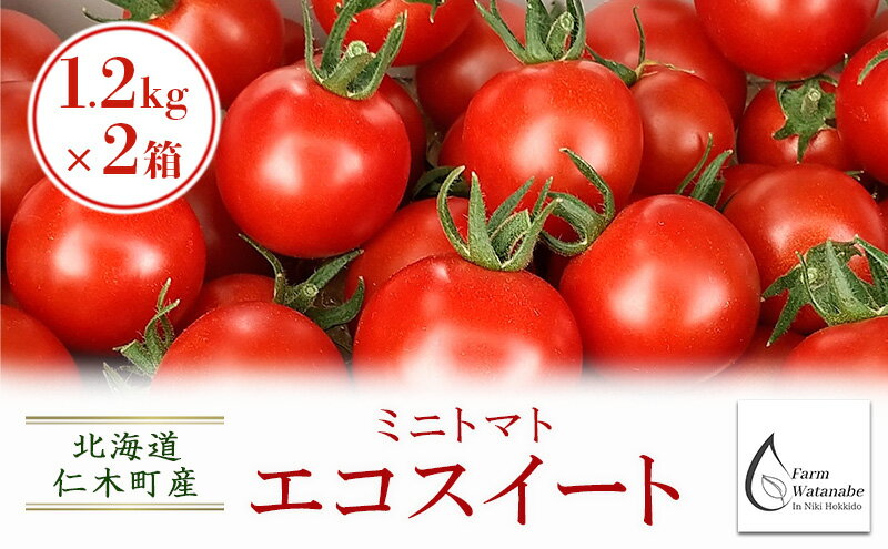 【ふるさと納税】[先行受付/2025年産][栽培期間中 農薬・化学肥料不使用] 北海道 仁木町産 ミニトマト エコスイート 1.2kg×2箱 サイズ混載 トマト野菜 やさい [Farm Watanabe]　お届け：2026年8月上旬～2026年8月下旬まで - 画像2
