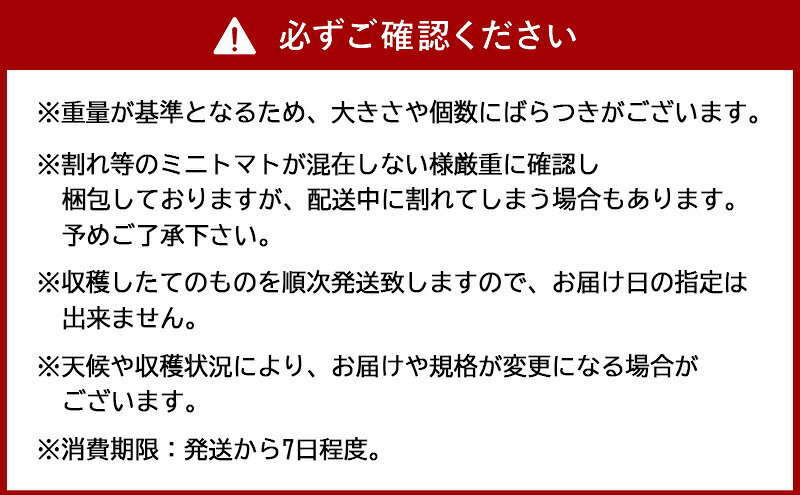 【ふるさと納税】[先行受付/2025年産][栽培期間中 農薬・化学肥料不使用] 北海道 仁木町産 ミニトマト エコスイート 1.2kg×2箱 サイズ混載 トマト野菜 やさい [Farm Watanabe]　お届け：2026年8月上旬～2026年8月下旬まで - 画像3