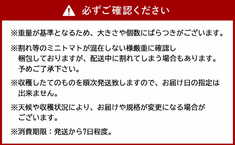 【ふるさと納税】[先行受付/2025年産][栽培期間中 農薬・化学肥料不使用] 北海道 仁木町産 ミニトマト エコスイート 1.2kg×6箱 サイズ混載 トマト野菜 やさい [Farm Watanabe]　お届け：2026年8月上旬～2026年8月下旬まで - 画像3