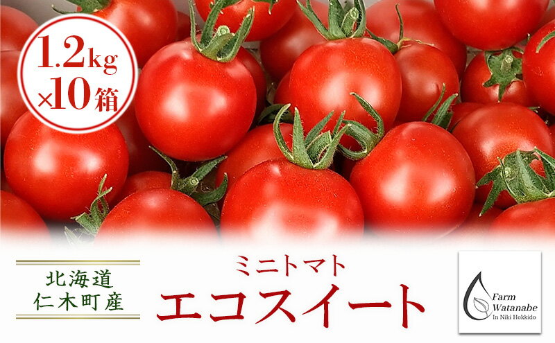 【ふるさと納税】[先行受付/2025年産][栽培期間中 農薬・化学肥料不使用] 北海道 仁木町産 ミニトマト エコスイート 1.2kg×10箱 サイズ混載 トマト野菜 やさい [Farm Watanabe]　お届け：2026年8月上旬～2026年8月下旬まで - 画像2