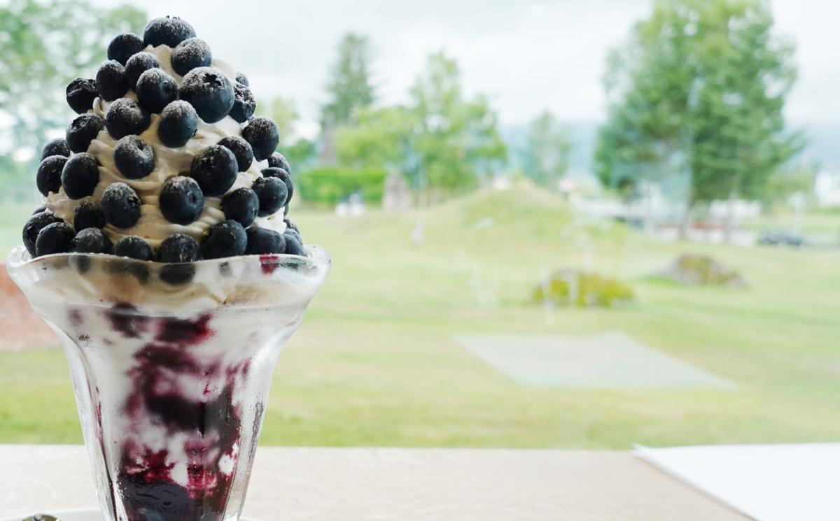 【ふるさと納税】[先行受付] 北海道 仁木町産 有機栽培ブルーベリー 1.5kg（サイズ混合） 果物 くだもの フルーツ 果実 生ブルーベリー 国産 国産ブルーベリー 日本産 [しろうさファーム]　お届け：2026年7月15日～8月15日まで サムネイル3