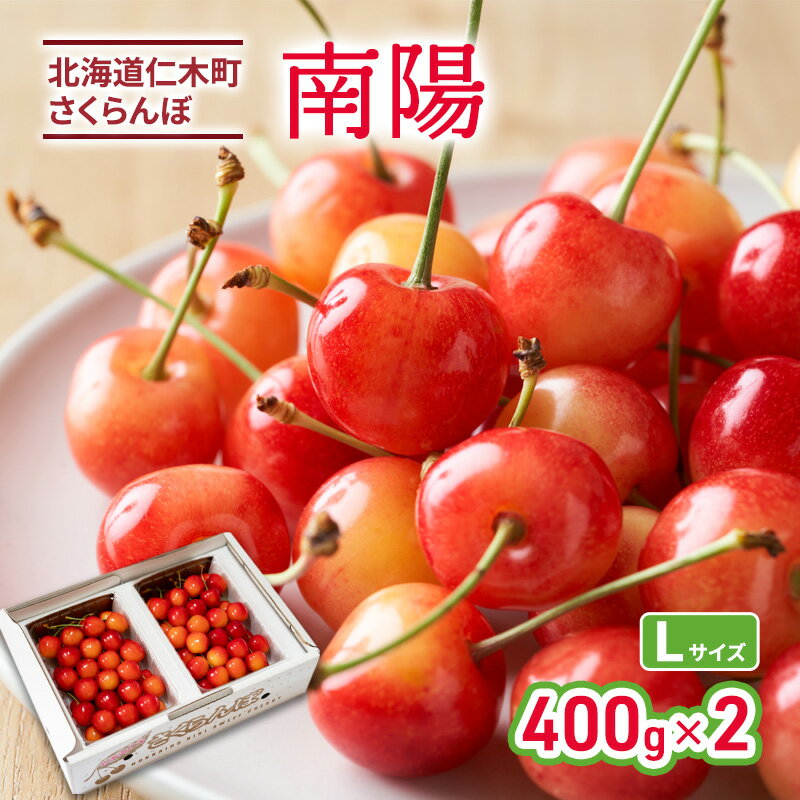 先行受付 北海道 仁木町産 さくらんぼ 南陽 400g×2P Lサイズ サクランボ チェリー フルーツ 果物 果物類 仁木町 仁木 [林果樹園]　お届け：2026年6月末～7月中旬