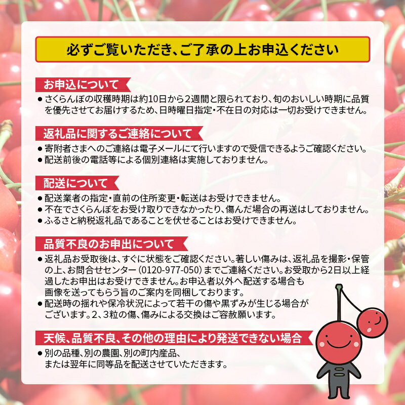 【ふるさと納税】先行受付 北海道 仁木町産 さくらんぼ 1kg （500g×2） 佐藤錦または紅秀峰 果樹 サクランボ チェリー フルーツ 果物 果物類 ギフト 仁木町 仁木 [くくり農園]　お届け：2026年7月上旬～7月下旬まで サムネイル3