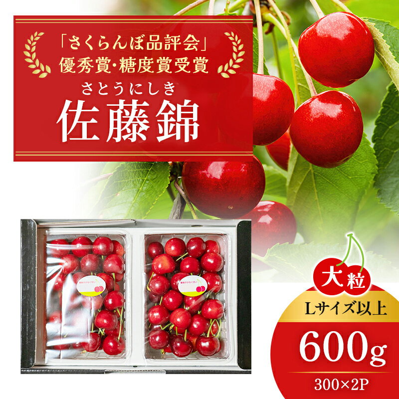 先行受付 北海道 仁木町産「匠」 さくらんぼ 【 佐藤錦 】300g×2 嶋田茂農園 サクランボ チェリー フルーツ 果物 果物類 仁木町 仁木 [嶋田茂農園匠]　お届け：2026年7月上旬～7月末日まで