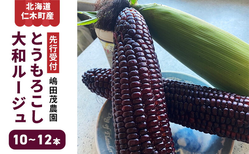 【ふるさと納税】[先行受付] 北海道 仁木町産 新鮮 とうもろこし 大和ルージュ【10～12本】トウモロコシ コーン 野菜 やさい [嶋田茂農園]　お届け：2026年8月下旬～2025年9月中旬 - 画像2