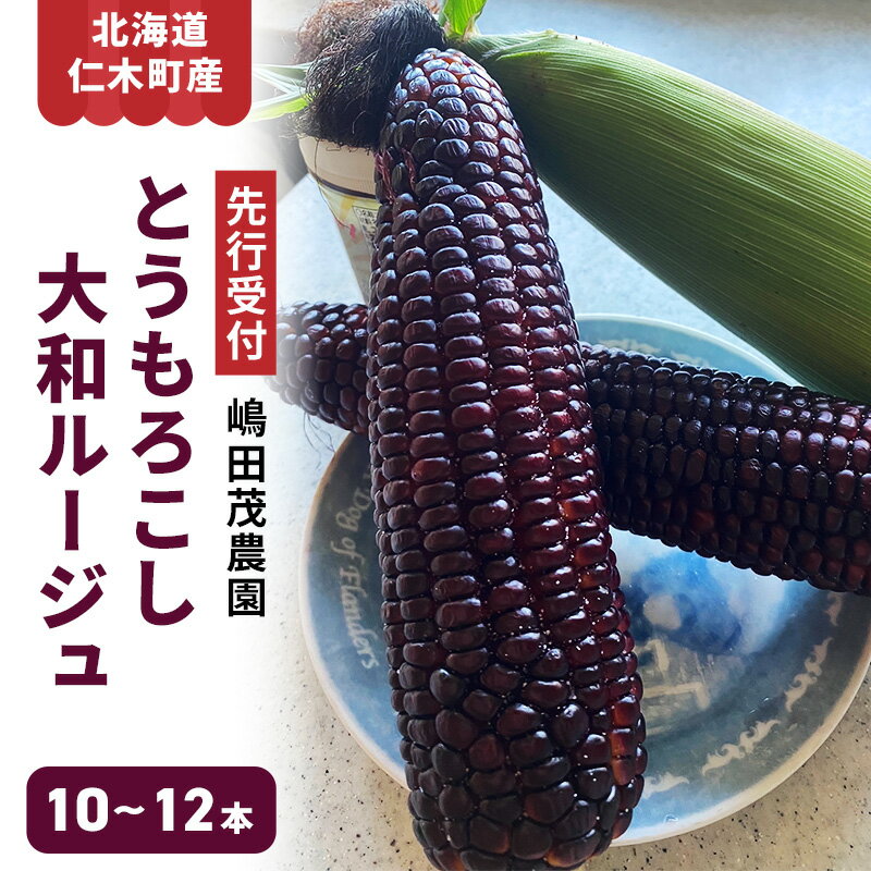 [先行受付] 北海道 仁木町産 新鮮 とうもろこし 大和ルージュ【10～12本】トウモロコシ コーン 野菜 やさい [嶋田茂農園]　お届け：2026年8月下旬～2025年9月中旬