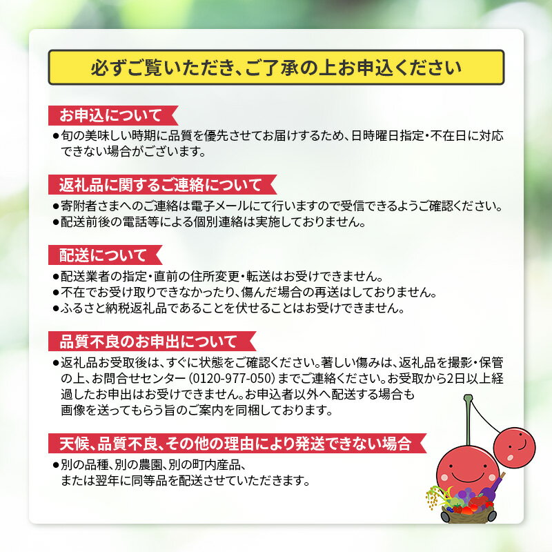 【ふるさと納税】[先行受付] 北海道 仁木町産 新鮮 とうもろこし 大和ルージュ【10～12本】トウモロコシ コーン 野菜 やさい [嶋田茂農園]　お届け：2026年8月下旬～2025年9月中旬 - 画像3
