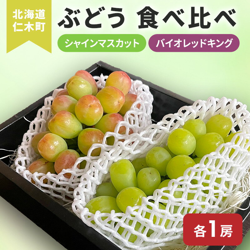[先行受付] 北海道 仁木町 ぶどう 食べ比べ 各1房 シャインマスカット バイオレッドキング ブドウ マスカット 果物 くだもの フルーツ [嶋田茂農園]　お届け：2026年9月下旬～2025年10月下旬