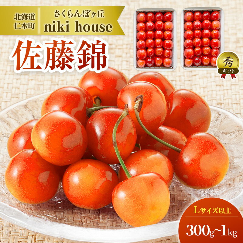 先行受付 容量が選べるさくらんぼ [先行受付] さくらんぼ 佐藤錦 さくらんぼ Lサイズ以上 300g～1kg 化粧箱入 サクランボ チェリー フルーツ 果物 果物類 贈答品 ギフト 北海道 仁木町 仁木 [小林信幸]　お届け：2026年6月末～7月20日頃