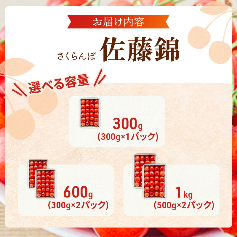 【ふるさと納税】先行受付 容量が選べるさくらんぼ [先行受付] さくらんぼ 佐藤錦 さくらんぼ Lサイズ以上 300g～1kg 化粧箱入 サクランボ チェリー フルーツ 果物 果物類 贈答品 ギフト 北海道 仁木町 仁木 [小林信幸]　お届け：2026年6月末～7月20日頃 サムネイル3