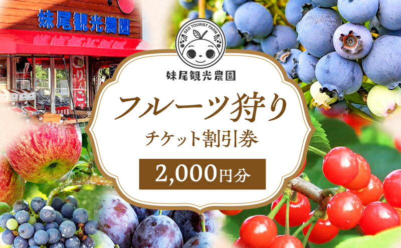 【ふるさと納税】妹尾観光農園 フルーツ狩りチケット2000円 割引 チケット クーポン 利用券 フルーツ 旅行 体験 農園 北海道 仁木町 [フルーツショップ妹尾観光農園] サムネイル2