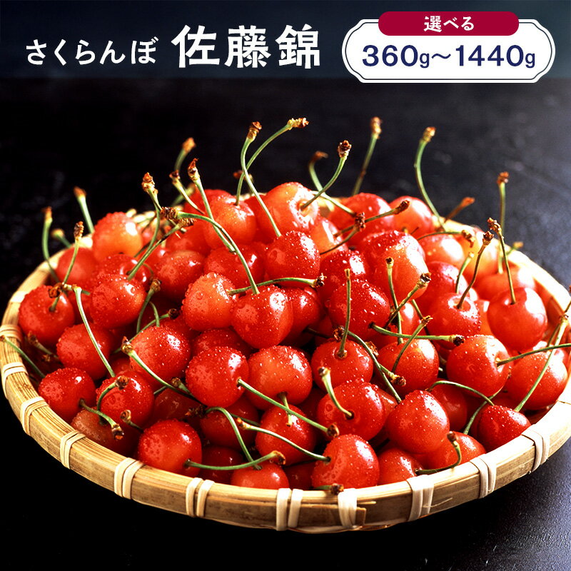 容量が選べる 360g～1400g 先行予約 北海道 仁木町産 さくらんぼ 佐藤錦 果物類 くだもの フルーツ サクランボ チェリー [JA新おたる]　お届け：2026年7月1日～20日まで