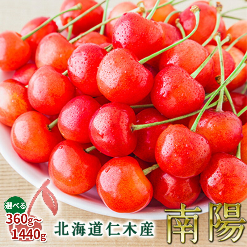 容量が選べる 360g～1440g　先行予約 北海道 仁木町産 さくらんぼ 南陽 果物類 くだもの フルーツ サクランボ チェリー [JA新おたる] 　お届け：2026年7月中旬～7月下旬まで
