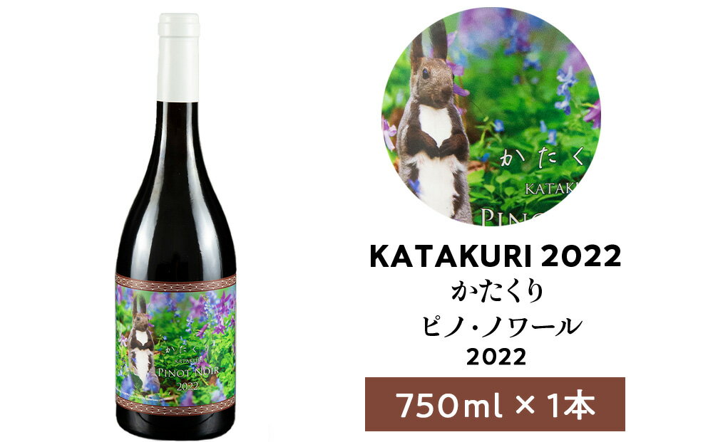 【ふるさと納税】カタクリ ピノ・ノワール 2022 750ml 1本　ワイン 赤ワイン ぶどう 北海道産 お酒 酒 洋酒 果実酒 アルコール エレガント 上品 ギフト プレゼント お取り寄せ 余市 北海道 仁木町 サムネイル2