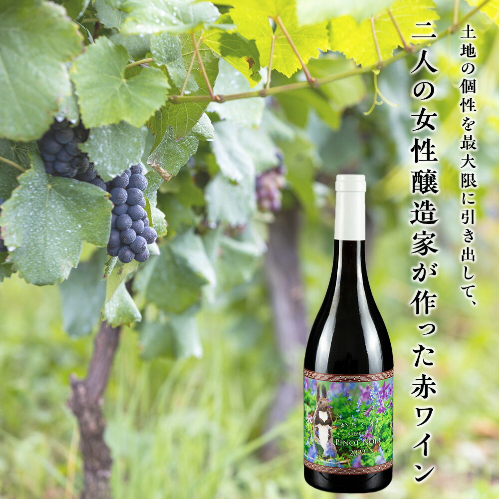【ふるさと納税】カタクリ ピノ・ノワール 2022 750ml 1本　ワイン 赤ワイン ぶどう 北海道産 お酒 酒 洋酒 果実酒 アルコール エレガント 上品 ギフト プレゼント お取り寄せ 余市 北海道 仁木町 サムネイル3