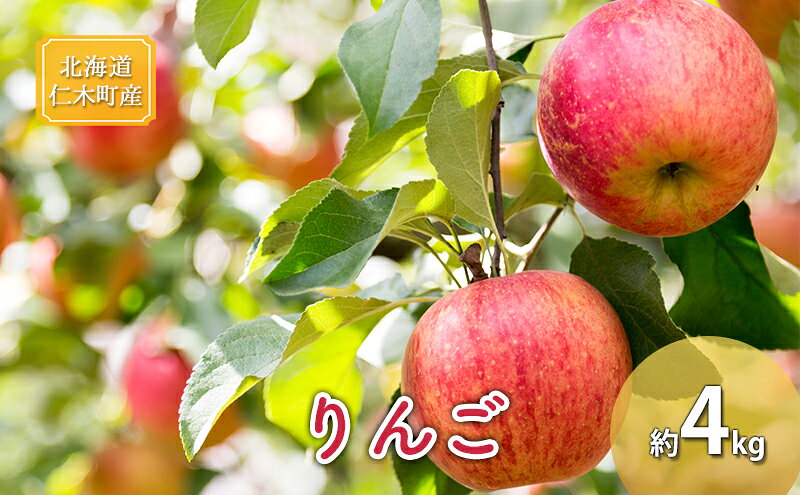 【ふるさと納税】[先行受付] 北海道 仁木町産 りんご 約4kg 果物類 林檎 リンゴ ふじ 果物 くだもの フルーツ [くだもの直売　もり園]　お届け：2025年12月上旬～12月中旬 サムネイル2