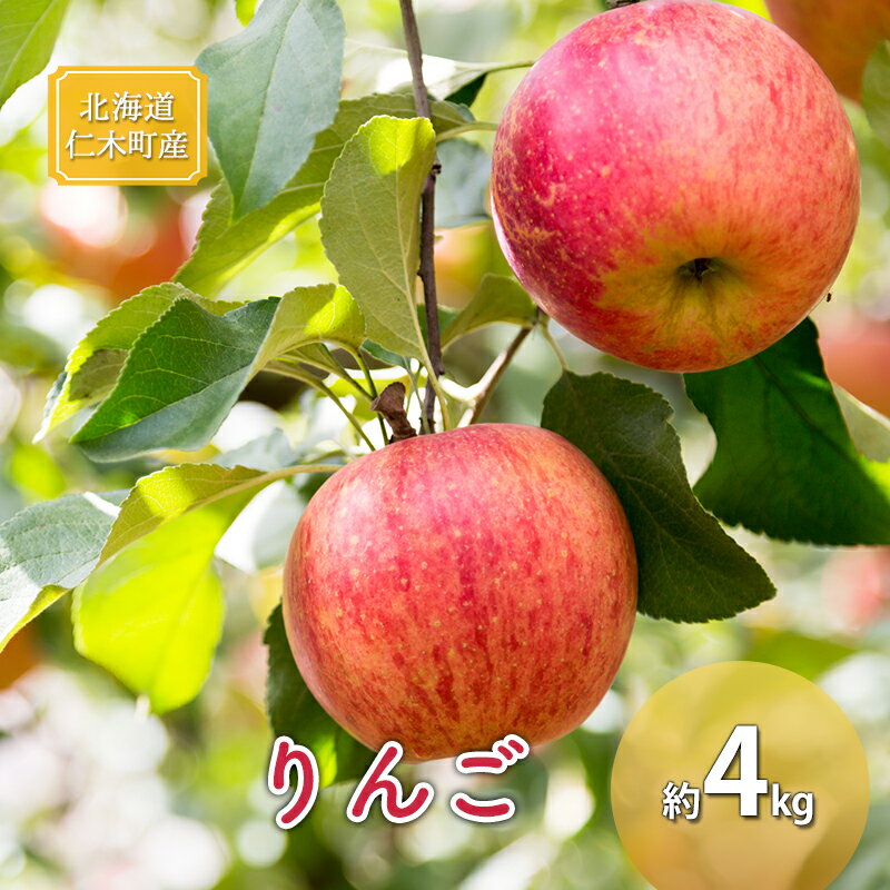 [先行受付] 北海道 仁木町産 りんご 約4kg 果物類 林檎 リンゴ ふじ 果物 くだもの フルーツ [くだもの直売　もり園]　お届け：2025年12月上旬～12月中旬