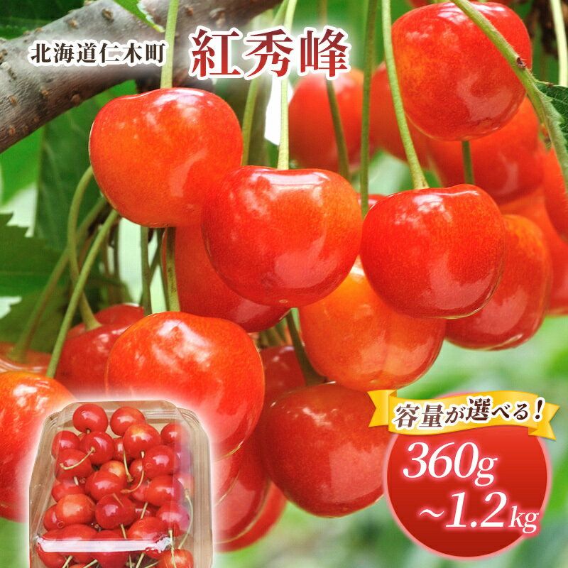 【ふるさと納税】選べる容量 北海道 仁木町産 さくらんぼ 紅秀峰 360g～1.2kg 旬 桜桃 産地直送 サクランボ チェリー フルーツ 果物 果物類 仁木町 仁木 [松山商店]　お届け：2026年7月10日～26日頃 - 画像2