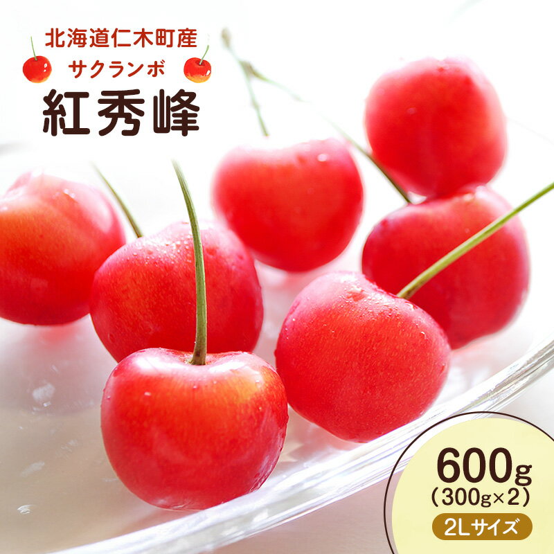 先行予約 北海道 仁木町産 さくらんぼ 紅秀峰 600g （300g×2）2L以上　旬の果物 サクランボ チェリー フルーツ 果物 果物類 仁木町 仁木 [UMIX FARM]　お届け：2026年7月初旬～7月中旬まで