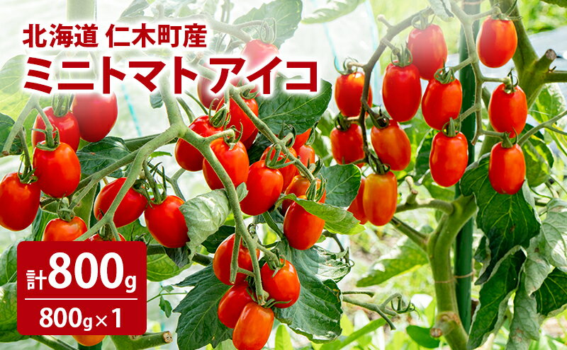 【ふるさと納税】[先行受付] 北海道 仁木町産 ミニトマト アイコ 800g [林果樹園]【トマト ミニトマト アイコ 高糖度 フルーツトマト 赤 サラダ パスタ スープ 常備菜 産地直送 旬 健康 リコピン ビタミンC 美容 ダイエット】　お届け：2026年8月下旬～9月下旬まで - 画像2
