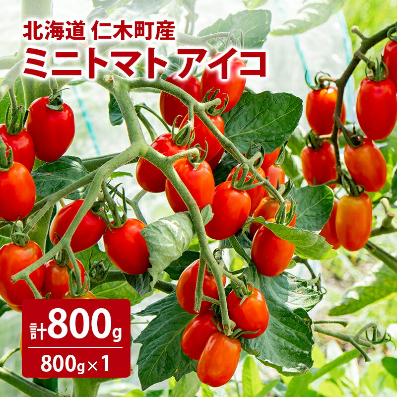 [先行受付] 北海道 仁木町産 ミニトマト アイコ 800g [林果樹園]【トマト ミニトマト アイコ 高糖度 フルーツトマト 赤 サラダ パスタ スープ 常備菜 産地直送 旬 健康 リコピン ビタミンC 美容 ダイエット】　お届け：2026年8月下旬～9月下旬まで
