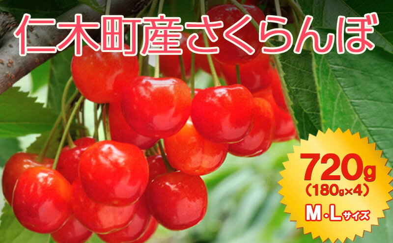 【ふるさと納税】北海道 仁木町産 7月旬 さくらんぼ 720g （180g×4） M・Lサイズ サクランボ チェリー フルーツ 果物 果物類 仁木町 仁木 [JA新おたる]　お届け：2026年7月1日～26日まで サムネイル2